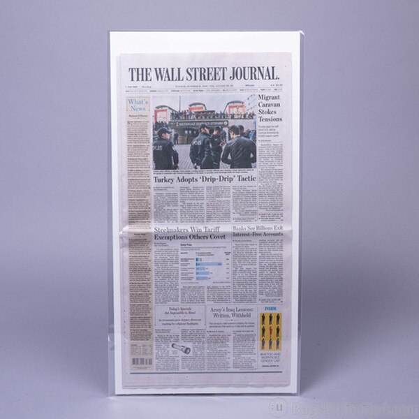POLYESTER (Mylar) Sleeve for flat N